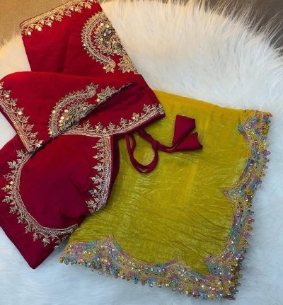 Tissue Organza Saree With Handwork Border & Blouse