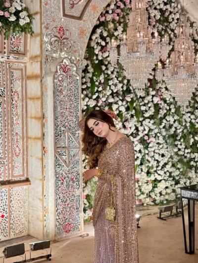 Cocktail Sequins Saree