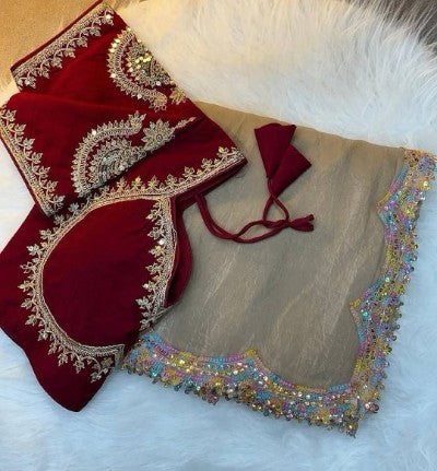 Tissue Organza Saree With Handwork Border & Blouse