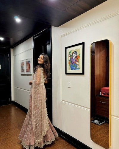 Dreamy Lehenga Saree