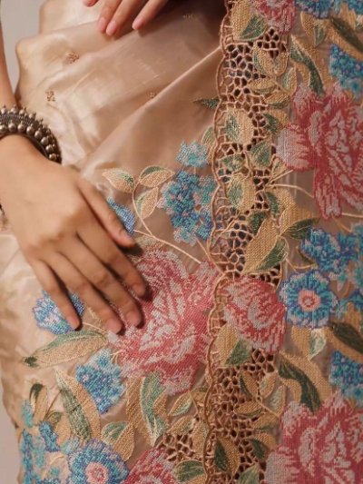 Pure Jimmicho Organza Tissue Embroidery Saree